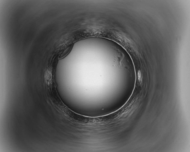 X0000095881203200801181158