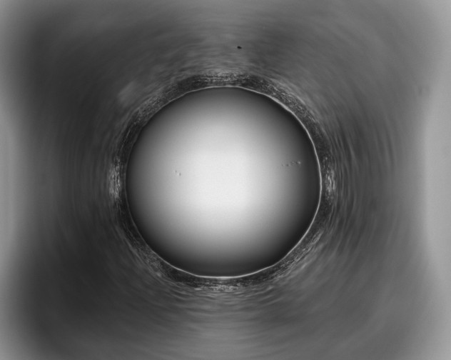 X0000095881204200801181158