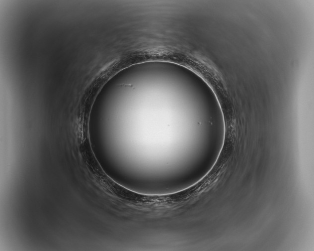 X0000095881205200801181158