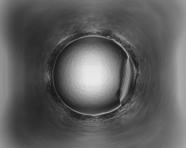 X0000095881206200801181158