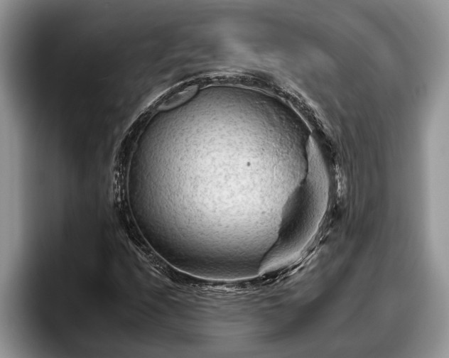 X0000095881208200801181158