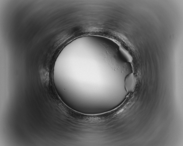 X0000095881209200801181158