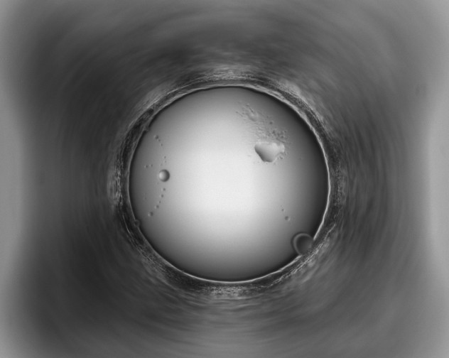X0000095881211200801181158
