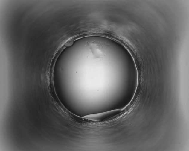 X0000095881212200801181158
