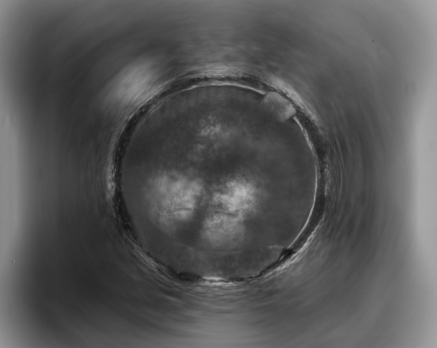 X0000095881213200801181158
