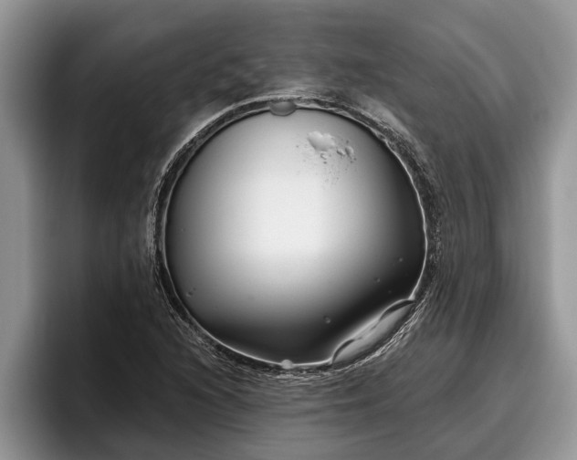 X0000095881216200801181158