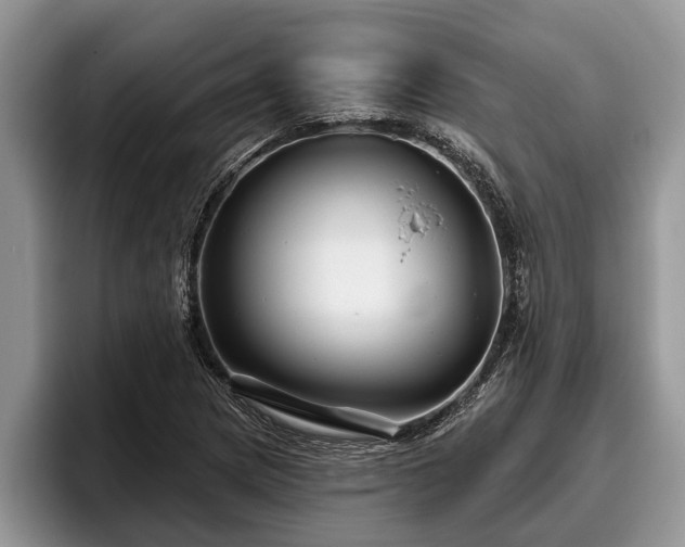 X0000095881217200801181158
