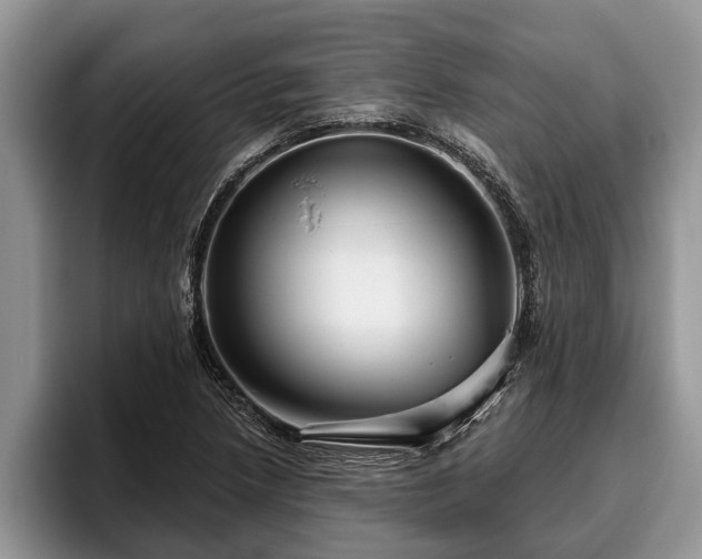 X0000095881218200801181158
