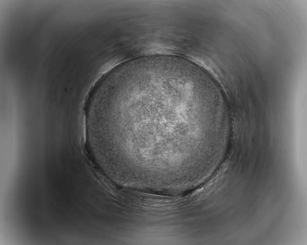 X0000095881219200801181158