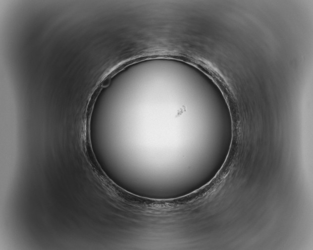 X0000095881220200801181158