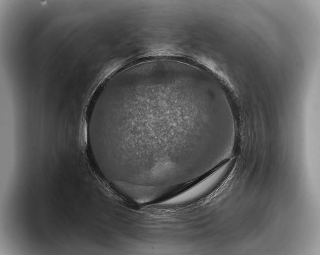 X0000095881221200801181159