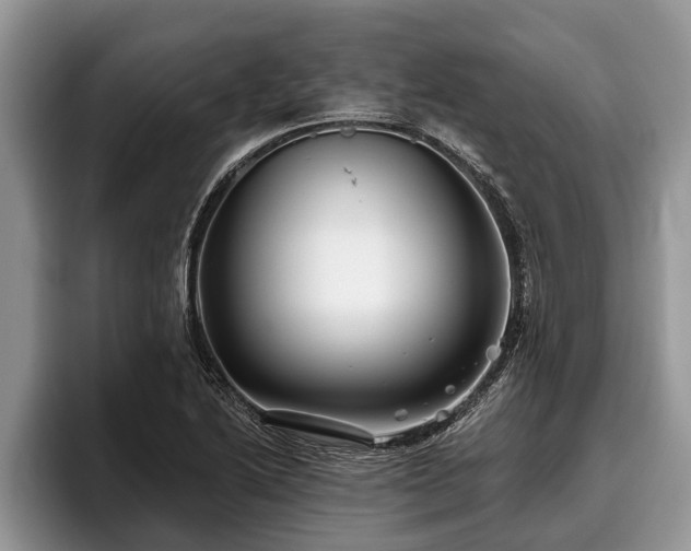 X0000095881222200801181159