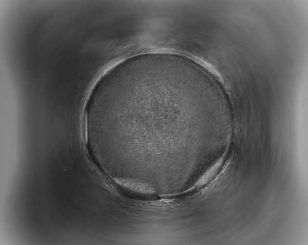 X0000095881223200801181159