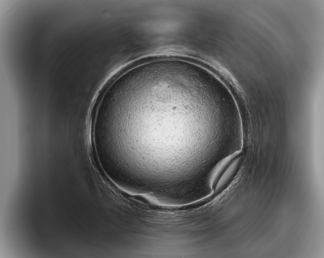 X0000095881224200801181159