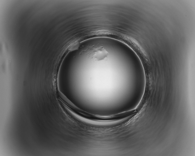 X0000095881225200801181159