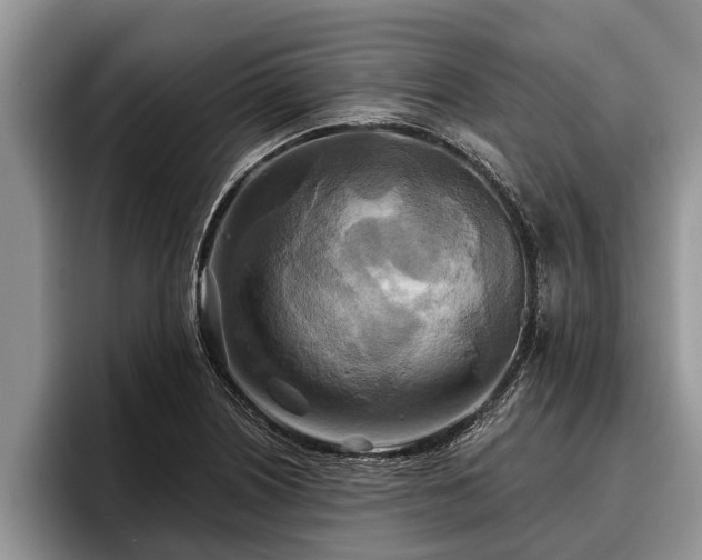X0000095881226200801181159