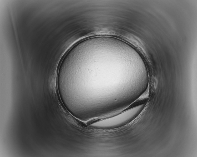 X0000095881228200801181159