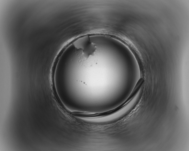 X0000095881230200801181159