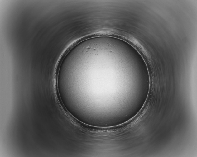 X0000095881232200801181159