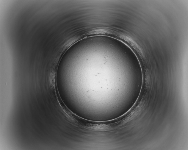 X0000095881233200801181159