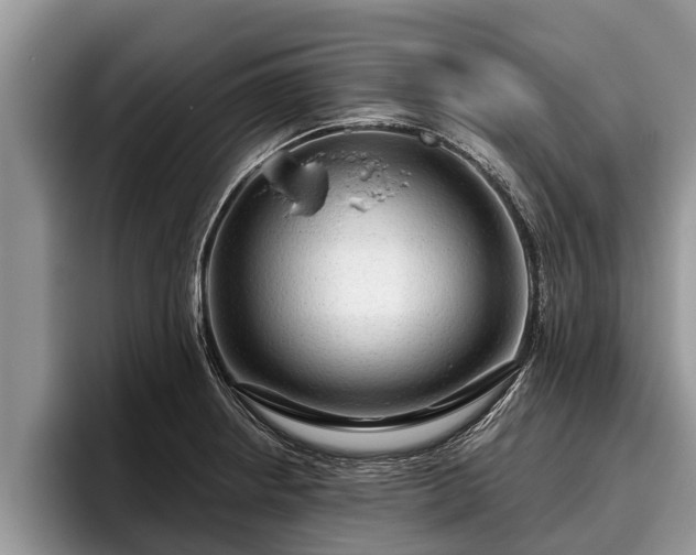 X0000095881234200801181159