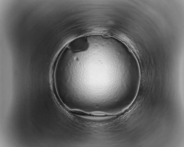 X0000095881235200801181159
