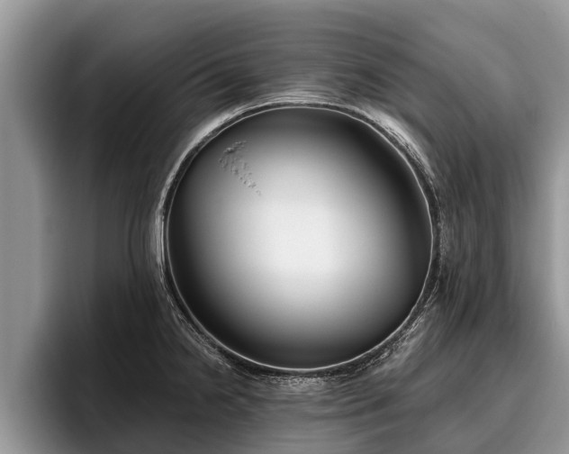 X0000095881238200801181159