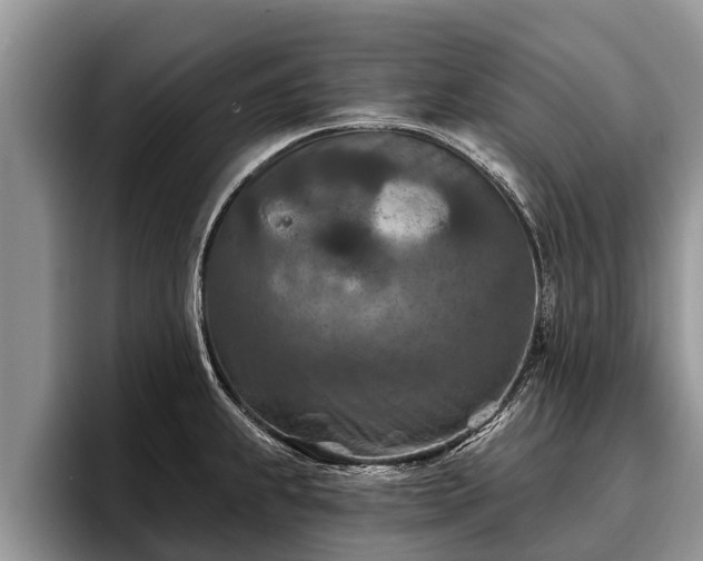 X0000095881239200801181159