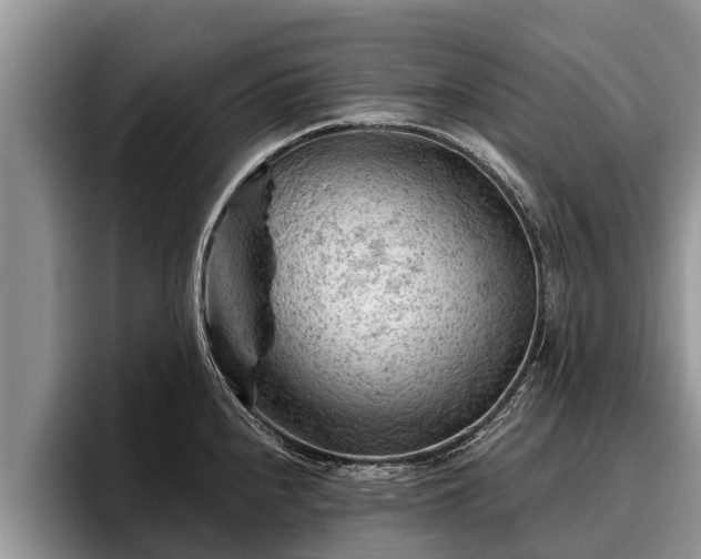X0000095881240200801181159