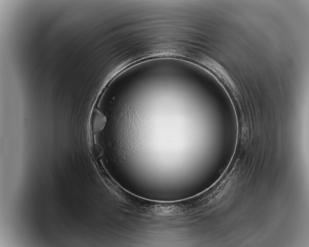 X0000095881242200801181159