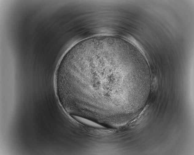 X0000095881243200801181159