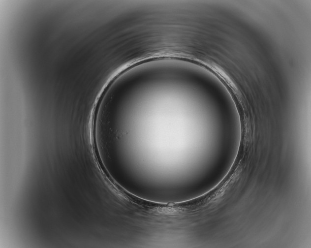 X0000095881246200801181159