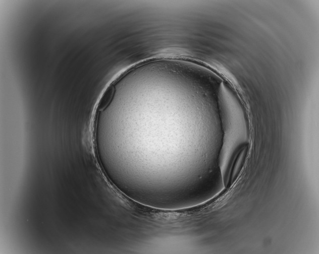 X0000095881248200801181159