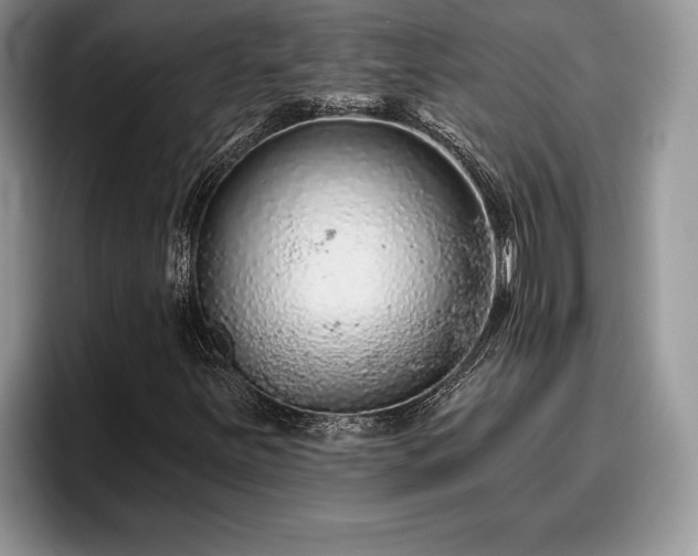 X0000095881251200801181158