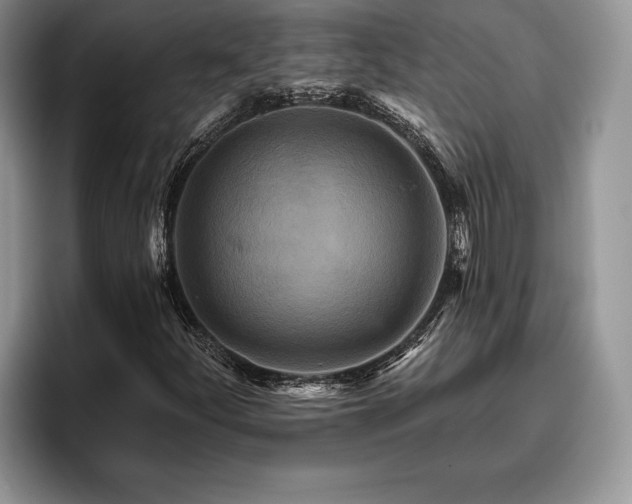X0000095881252200801181158