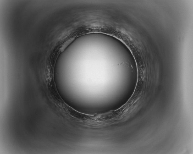X0000095881253200801181158