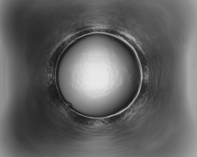 X0000095881255200801181158