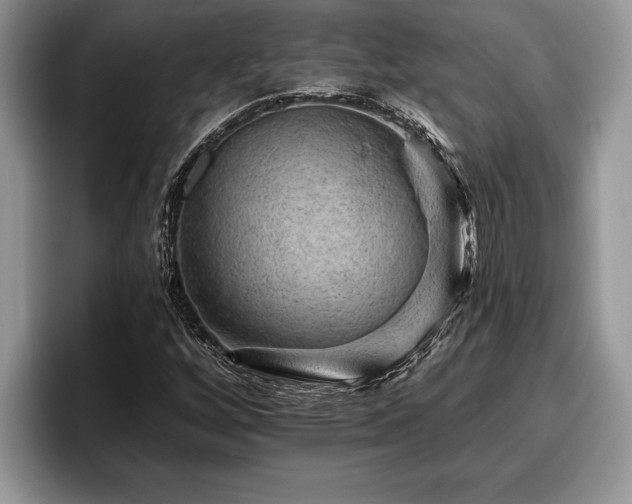 X0000095881256200801181158