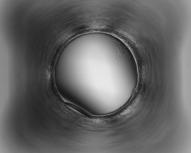 X0000095881257200801181158