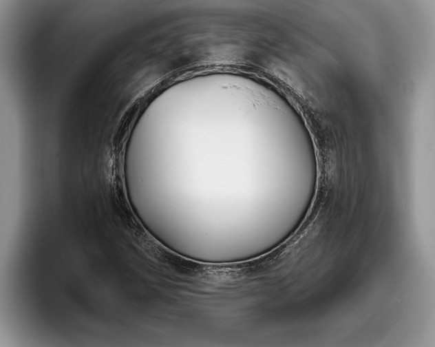 X0000095881258200801181158