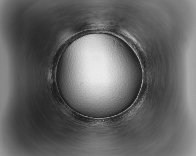 X0000095881259200801181158