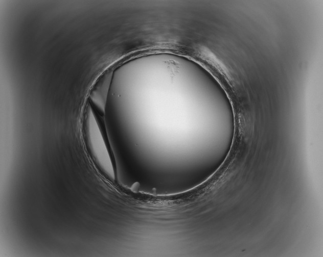 X0000095881260200801181158