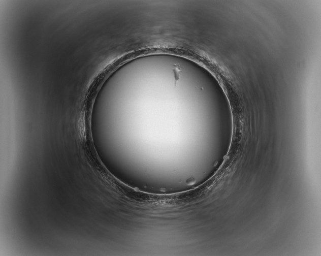 X0000095881262200801181158