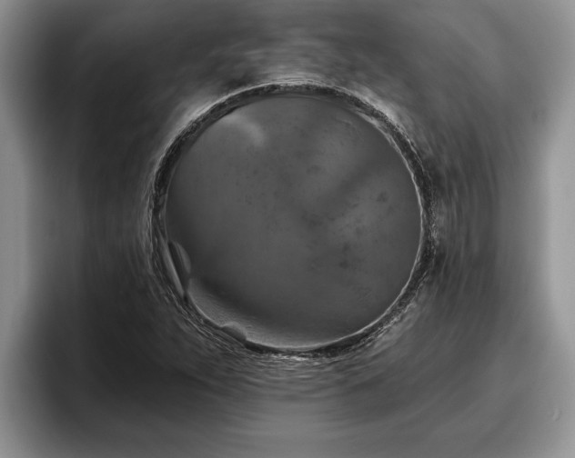 X0000095881263200801181158