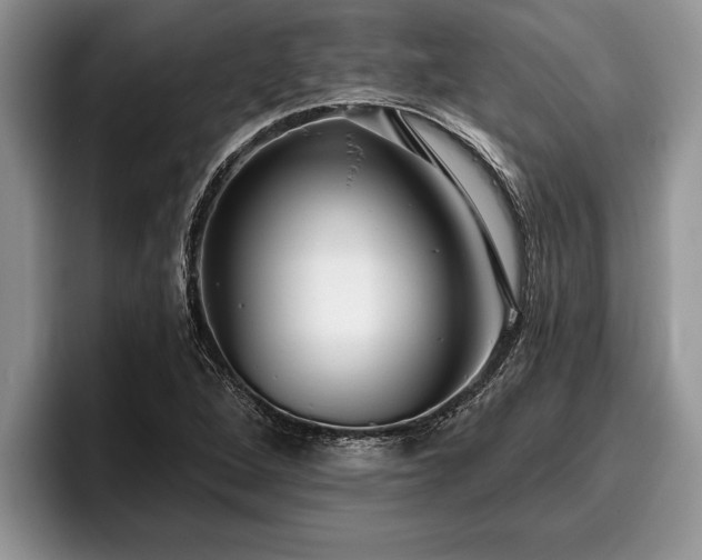 X0000095881264200801181158