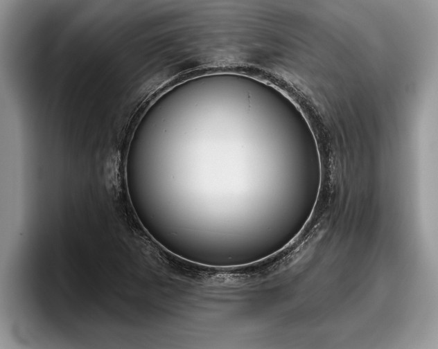 X0000095881265200801181158