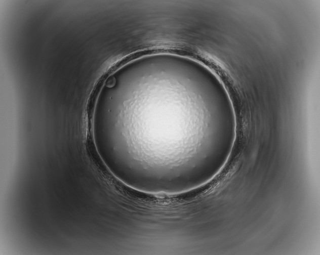 X0000095881267200801181158