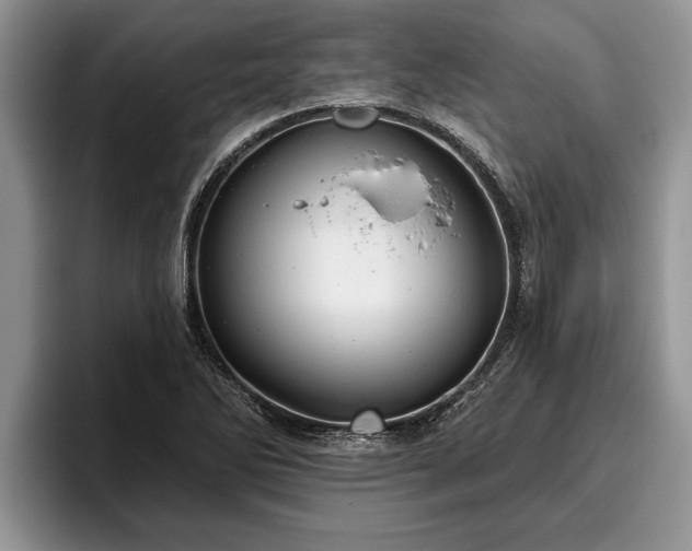 X0000095881270200801181158
