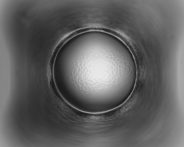 X0000095881271200801181158