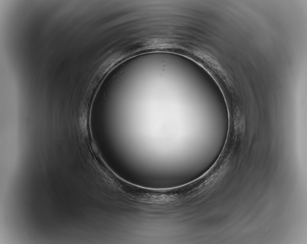 X0000095881273200801181158